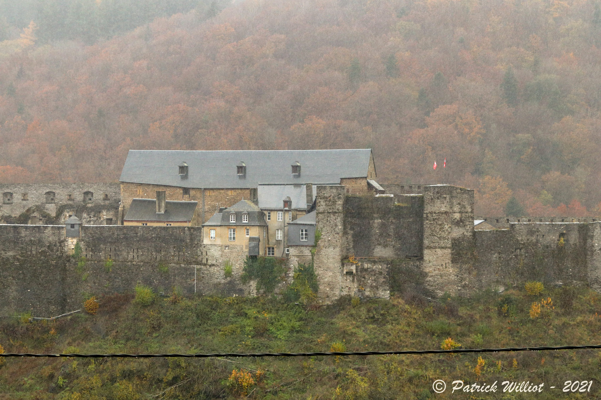 Bouillon